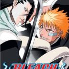 Bleach – Heat the Soul 2 (J) (UCJS-10017)